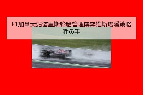 jia-na-da-zhan-nuo-li-si-lun-tai-guan-li-bo-yi-wei-si-ta-pan-ce-lve-sheng-fu-shou-2-461.jpg
